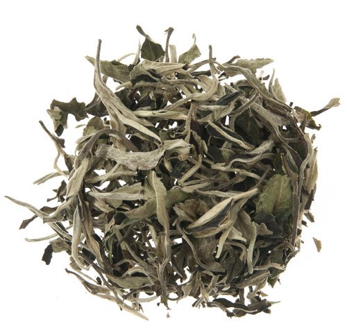 Silver Moonlight Wild White